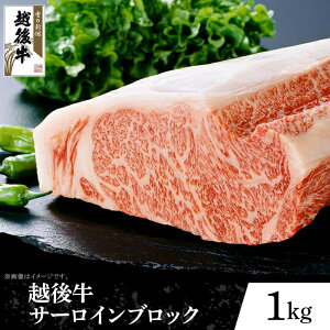 yӂ邳Ɣ[Łz63-42AVY z㋍T[CubN1kg