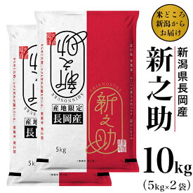 【ふるさと納税】米 10kg 白米 新之助 新潟 令和5年 73-S101新潟県長岡産新之助10kg（5kg×2袋）