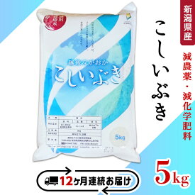 【ふるさと納税】米 定期便 5kg 12ヶ月 白米 新潟 令和5年 75-3K05Z【12ヶ月連続お届け】新潟県長岡産特別栽培米こしいぶき5kg