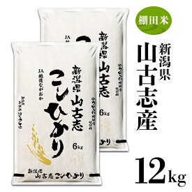 【ふるさと納税】米 白米 コシヒカリ 新潟 令和5年 75-Y121新潟県長岡産コシヒカリ山古志地域棚田米12kg