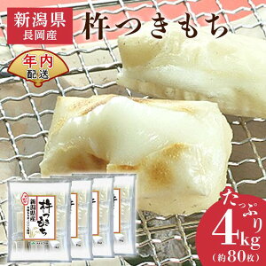 �y�ӂ邳�Ɣ[�Łz�� ���� �؂��� �؂�� �ʕ �V�� 75M-14B-RCF�y�N�������z�V���������Y�n������4kg�i��80�؂�j �݁i�N���E�h�t�@���f�B���O�Ώہj