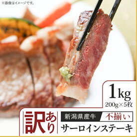 【ふるさと納税】訳あり 不揃い 牛肉 サーロイン 76-A0【訳あり】不揃い 新潟県産牛（長岡産）サーロインステーキ1kg（200g×5枚）