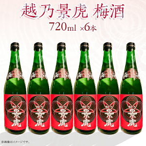 yӂ邳Ɣ[ŁzA0-53AzTi ~720ml×6{Zbgy𑢁z