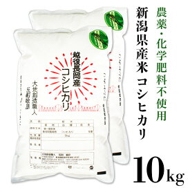 【ふるさと納税】米 10kg 白米 コシヒカリ 新潟 令和5年 E1-05新潟県産米コシヒカリ10kg