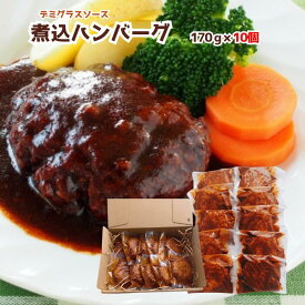 【ふるさと納税】76-A4B湯せんで簡単！デミグラス煮込みハンバーグ 10個セット（170g×10個）
