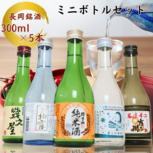 yӂ邳Ɣ[Łz{ ݔ V C1-B9B~j{gݔ׃Zbg300ml×5{iREgTEIE@Evj