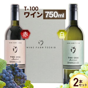 yӂ邳Ɣ[Łz24-07B T100 C750ml×2{ZbgyCt@[Ƃz