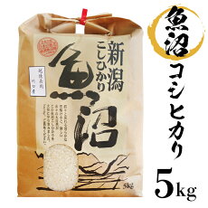 楽天市場 ふるさと納税 ジャンル別お礼の品ランキング 米 雑穀