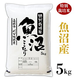 楽天市場 ふるさと納税 魚沼産コシヒカリの通販