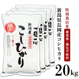 楽天市場 ふるさと納税 米 kgの通販