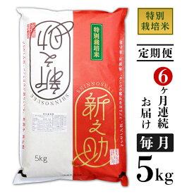 【ふるさと納税】米 定期便 5kg 6ヶ月 白米 新之助 新潟 令和5年 B7-07【6ヶ月連続お届け】長岡産新之助5kg（特別栽培米）