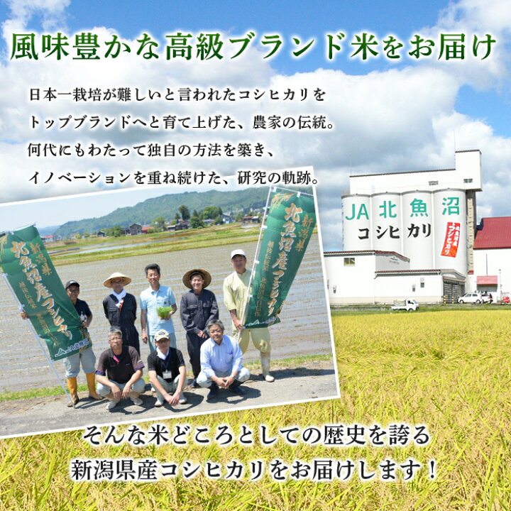 楽天市場】【ふるさと納税】米 定期便 5kg 10kg 令和7年産 魚沼 