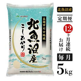 【ふるさと納税】米 定期便 5kg 12ヶ月 白米 魚沼 新潟こしひかり 令和5年 5L05-Z【12ヶ月連続お届け】北魚沼産コシヒカリ（長岡川口地域）5kg