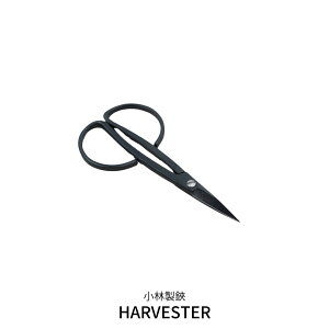 yӂ邳Ɣ[ŁzHARVESTER  nT~14.3cm  n[u t[ n |pi 쐭XďC v[g O𐻁y028S047z