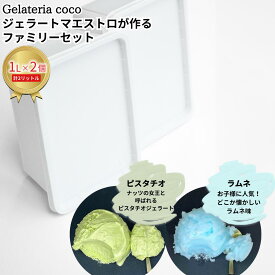 【ふるさと納税】ジェラートマエストロが作るファミリーセット 1L×2 合計2L[ピスタチオ・ラムネ] ジェラート アイス 大容量 ファミリーパック 添加物不使用 [Gelateria coco]【017S095】