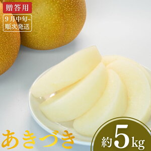 yӂ邳Ɣ[Łzs\ a Â 3kgE5kg [9{甭\] ߘa7Nx Iׂe VOsY  [є_]y012P045z