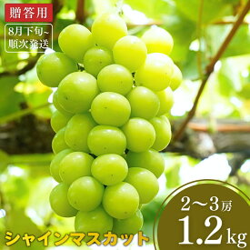 【ふるさと納税】先行予約 シャインマスカット 約1.2kg [8月下旬から発送予定] 令和7年度 新潟県 三条市産 ぶどう [小林農園]【013P027】