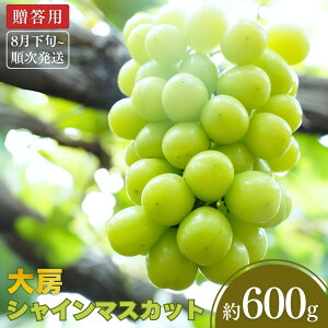 yӂ邳Ɣ[Łzs\ [VC}XJbg 600gi1[j[8{甭\] ߘa7Nx V OsY Ԃǂ [є_] 10000~ȉ 1~ȉy010P080z