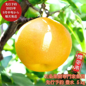 yӂ邳Ɣ[Łzs\ a L 5kg [9{甭\] ߘa7Nx p V OsY  [OʎƏWc] y016P020z