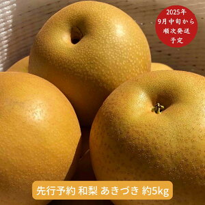 yӂ邳Ɣ[Łzs\ a Â 5kg [9{甭\] ߘa7Nx VY  [Ƃt@[] y014S011z