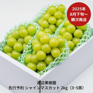 yӂ邳Ɣ[Łzs\ VC}XJbg2kg (3~5[) [8{甭\] ߘa7Nx p VC}XJbg V OsY Ԃǂ [nӉʎ] y034S008z