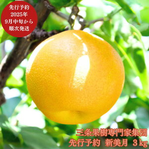 yӂ邳Ɣ[Łzs\ VIWia V 3kg [9{甭\] ߘa7Nx V OsY [OʎƏWc]y016P037z