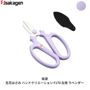 yӂ邳Ɣ[ŁzԂ͂ nhNG[VF170p IׂS6F  ԃnT~ |nT~ ԗp |pi K[fjOpi [⌹]y010S718z