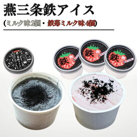 【ふるさと納税】燕三条鉄アイス (ミルク味2個 鉄苺ミルク味 4個) アイス 鉄粉 越後姫 chillfull-ちるふる- ギフト プレゼント 取り寄せ【012S140】