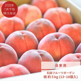 【ふるさと納税】先行予約 桃 自家用 約5kg (11～18個入) [2025年発送分] 令和7年産 新潟フルーツ 新潟県産桃 [石田フルーツガーデン]