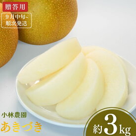 【ふるさと納税】先行予約 和梨 あきづき 約3kg・約5kg [9月中旬から発送予定] 令和7年度 選べる内容量 新潟県三条市産 梨 [小林農園]【012P045】