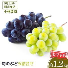 【ふるさと納税】先行予約 旬のぶどう詰合せ 約1.2kg [9月上旬から発送予定] 令和8年度 シャインマスカット 季節のぶどう 新潟フルーツ 新潟県産 [小林農園] 【011P006】