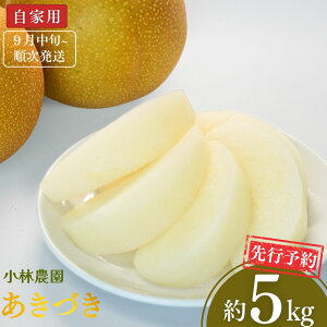 yӂ邳Ɣ[Łzs\ a Â Ɨp 5kg [9{甭\] ߘa7Nx V OsY  [є_]y010P073z