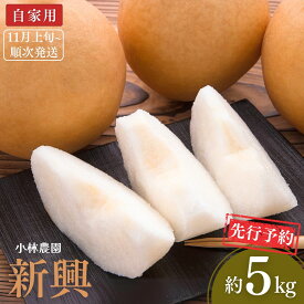 【ふるさと納税】先行予約 和梨 新興 自家用 約5kg [11月上旬から発送予定] 令和7年度 梨 新潟フルーツ 新潟県産 [小林農園] 【010P075】
