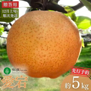 yӂ邳Ɣ[Łzs\ a  5kg p [12{甭\] ߘa7Nx VOsY   [OʎƏWc] y016P024z