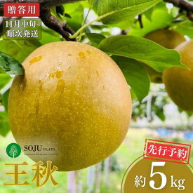 【ふるさと納税】先行予約 和梨 王秋 約5kg [11月中旬から発送予定] 令和7年度 贈答用 新潟県 三条市産 [三条果樹専門家集団] 【016S027】