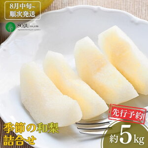 yӂ邳Ɣ[Łzs\ G߂̘al 5kg [8{甭\] ߘa7Nx V OsY  [OʎƏWc]y016P043z