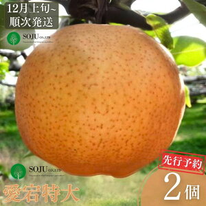 yӂ邳Ɣ[Łzs\ a  2 [12{甭\] ߘa7Nx VOsY   [OʎƏWc] y016P027z