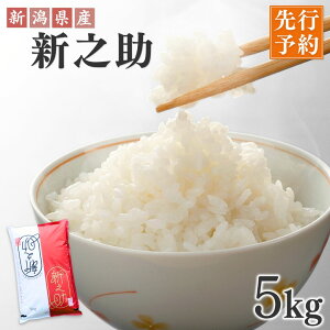 yӂ邳Ɣ[Łzs\ VOYVV 5kg×1 ߘa7NYVV  VYVV y017S140z