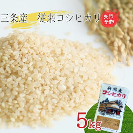 【ふるさと納税】 先行予約 新潟県三条産コシヒカリ 従来品種 5kg×1袋 令和7年産コシヒカリ 精米 新潟県産コシヒカリ 【016S084】