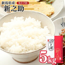 【ふるさと納税】先行予約 新潟県三条産新之助 5kg×1袋 令和7年産新之助 精米 新潟県産新之助 【014S148】