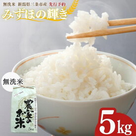【ふるさと納税】新潟県三条市産 みずほの輝き 無洗米 5kg [グリーンファーム渡前] 令和7年産 2025年産 みずほのかがやき 令和7年度 【015S180】