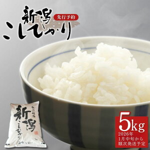 yӂ邳Ɣ[Łzs\ RVqJ 5kg VY [2026N1{珇\] ߘa7NY 2025NY Ђ ߘa7Nx [є_] y014S147z
