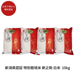 yӂ邳Ɣ[Łzʍ͔| VV 10kg  VOsY ̂ ߘa7NY [_YL@Z^[]y018P072z