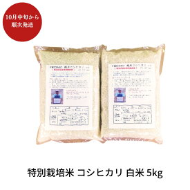 【ふるさと納税】特別栽培米 コシヒカリ 白米 5kg 新潟県産 令和7年産 [佐藤農産有機センター]【010S444】