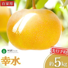 【ふるさと納税】先行予約 和梨 幸水 自家用 約5kg 令和8年度 新潟県 三条市産 梨 [三条果樹専門家集団] 【010P047】