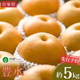 【ふるさと納税】先行予約 和梨 豊水 自家用 約5kg 令和8年度 新潟県産 三条市 梨 [三条果樹専門家集団]【010P055】