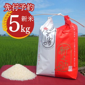 【ふるさと納税】 先行予約 新之助 5kg 新潟県産 [2027年1月中旬から順次発送予定] 令和8年産 2026年産 新之助（しんのすけ）令和8年度 [小林農園] 【010P079】