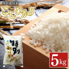 【ふるさと納税】 特別栽培米 コシヒカリ5kg 新潟県認証 令和8年産 新潟県三条市産 こしひかり アグリ巧房【010S275】