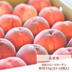 【ふるさと納税】先行予約 桃 自家用 約5kg (11~18個入) [2026年発送分] 令和8年産 もも 新潟フルーツ 新潟県産 モモ [石田フルーツガーデン] 桃【011P012】 [011P012]