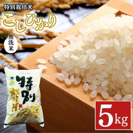 【ふるさと納税】県認証 特別栽培米 コシヒカリ5kg 無洗米 新潟県認証 令和8年産 新潟県三条市産 こしひかり 【011S193】